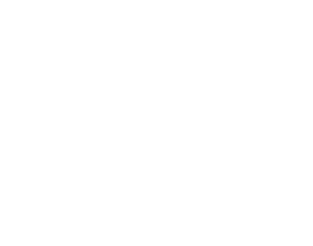 DNS-LOGOwhite